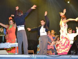 Festival de Folkore en Mula